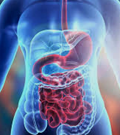 Gastrointestinal Surgeries